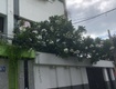 Siêu phẩm nhà khai thác dòng tiền   hẻm xe tải đẹp  ...
