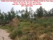 Chính chủ cần bán nhanh gần 10ha đất trồng chàm tại lagi, bình thuận   giá siêu...