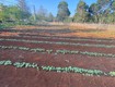 Chính chủ cần bán đất vị trí đẹp ngay ngã tư xã thuận hà,...