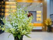 Bán nhà 3 tầng, 41m2, 3 ngủ ngõ phố Nguyễn Thị Duệ, ph Thanh Bình, TP Hải Dương,...