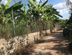 Bán đất vị trí đẹp, view đẹp ngay thống nhất   dầu giây tiềm...