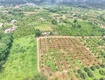 Bán gấp 20x45m dt 900m có 80 m2 ont gần chợ láng lớn giá...