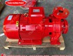 Máy bơm chữa cháy điện stella st50 250c 15kw 20hp