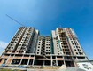 Sang suất mua chung cư noxh đường quốc lộ 13, xã tân định, bến cát, bình dương, phường...
