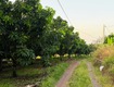 Cần nhượng lại lô đất 5.000m ngọc định có suối, ô tô...