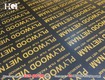 Ván ép phủ phim 15mm giá gốc tại nhà máy: 0373149315  Zalo 