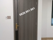 Cửa gỗ carbon