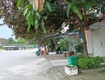 Bán nhà vườn đẹp nam đông, trần hưng đạo, p. nam ngạn, tp. thanh hóa