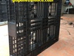 Pallet nhựa kê gạo giải pháp tối ưu cho kho gạo của bạn