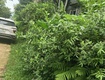 Chính chủ cần chuyển nhượng lô đất tại xã yên mông  tp hòa bình...