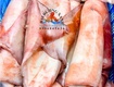 Mực lá đại dương
