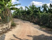 Bán đất vườn 1.300m  gần sân bay long thành   có cây trái...