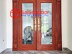 Cửa thép vân gỗ 