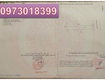 Chính chủ cần bán lô đất mặt tiền đường lục yên, mỹ hạnh bắc, long...