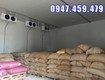 0947.459.479 báo giá thiết kế lắp đặt kho lạnh trữ hạt giống nông sản 