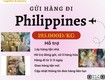 Gửi hàng đi philippines tiến việt express