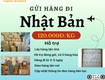 Gửi hàng đi nhật bản tiến việt express