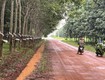 Cơ hội đầu tư sinh lời 