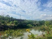 Bán đất tại quốc lộ 55, 490 triệu, 250 m2, giá ưu đãi, pháp lý...