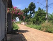 Bán đất mặt tiền đường nhựa nguyễn thế toàn   gia kiệm, thống nhất,...