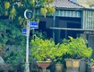 Bán đất tặng nhà mái thái đang kinh doanh cafe, đường trần quý khoách và hoà minh 18....