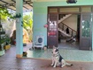Nhà sân vườn, đường ô tô có lề, tx điện bàn, 200m2 ngang 8m, cách biển 2km, nhỉnh...