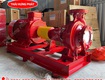 Máy bơm điện trục rời stella str100 250/75 75kw