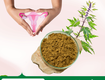 ích mẫu vị thuốc dân gian hoạt huyết, điều kinh