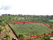 Bán 06 sổ 500m2 cạnh mặt đường 29 thị xã buôn hồ. giá chỉ ...