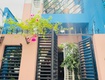 Thành thái   tô hiến thành   q.10   46m    2 tầng...