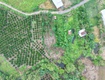 3.200m  đất vườn đá bạc 200 thổ cư  view suối, hồ cá ...