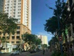 Bán nhà mặt phố hoàng hoa thám, vũng tàu, 118m2, 