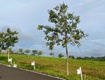 Cần bán gấp lô đất nghỉ dưỡng bảo lộc chỉ 880 triệu 