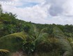 Bán đất vườn cây ăn trái, hòa long, đồng tháp dt 44000m2, giá 22 tỷ,...