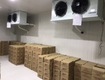 0947 459 479 lắp đặt kho đông trữ kem tiêu chuẩn đảm bảo chất lượng...