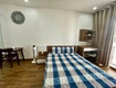 Căn hộ 1 ngủ có ngăn bếp cho thuê giá 5.5tr tại kđt waterfront