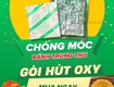 Gói hút oxy 30cc giá tốt bảo quản bánh trung thu