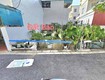 đa tốn gia lâm siêu hiếm   đường nhựa   oto 4 chỗ...