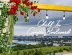 Chill in conic boulevard căn 2pn 84m2 tt 380tr nhận nhà ngay.
