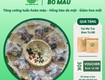 Trà Bổ Máu Ích Huyết 4 Vị 10gr 