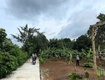 Chính chủ bán đất thổ cư giá rẻ tại bàu hàm 2 thống...