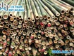 đại lý bán tre lồ ô giá rẻ chất lượng tại tphcm