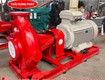 Máy bơm điện trục rời stella str200 500/315 315kw