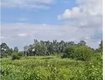 Cần bán gấp lô đất ven sông sài gòn củ chi