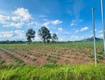 Bán 1.1 sào đất tân nghĩa   hàm tân giá rẻ 750 triệu đường...