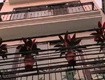 Nhà Thụy Khuê 50m  x 6 tầng THANG MÁY   MẶT NGÕ THÔNG   Kinh...