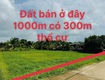 Đất khủng 1033m2 có 3,750 tỷ phước thạnh củ chi tp.hồ chí minh.