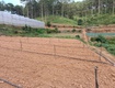 Chính chủ gửi bán lô đất đẹp 2100m    giá chỉ 2 tỷ...