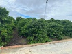 Bán 21000m2 21 sào đất nhà , ao, vườn cà phê xã liên...