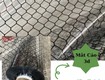 Màng pvc mắt cáo chống tĩnh điện esd